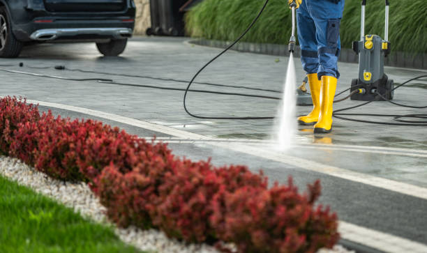 Best Sidewalk and Walkway Cleaning  in Panaca, NV